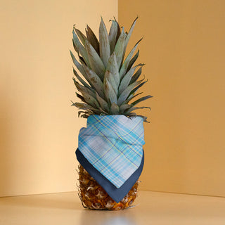 Bandana Nuschäli - blue.mint burberry